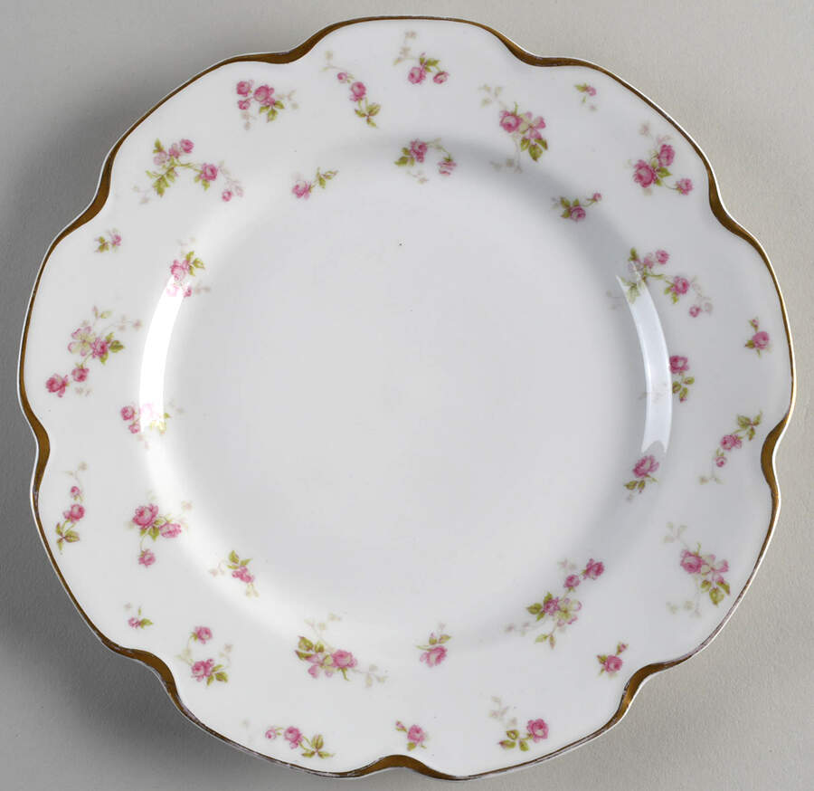 H1702 Dinner Plate by Haviland-1