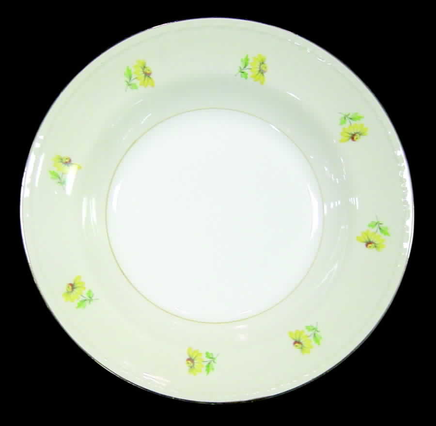 HLC2175 Dinner Plate by Homer Laughlin -1