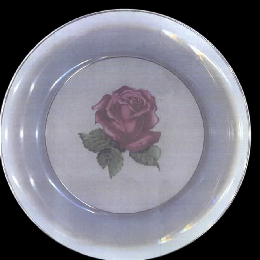HAR94 Dinner Plate by Harker-1