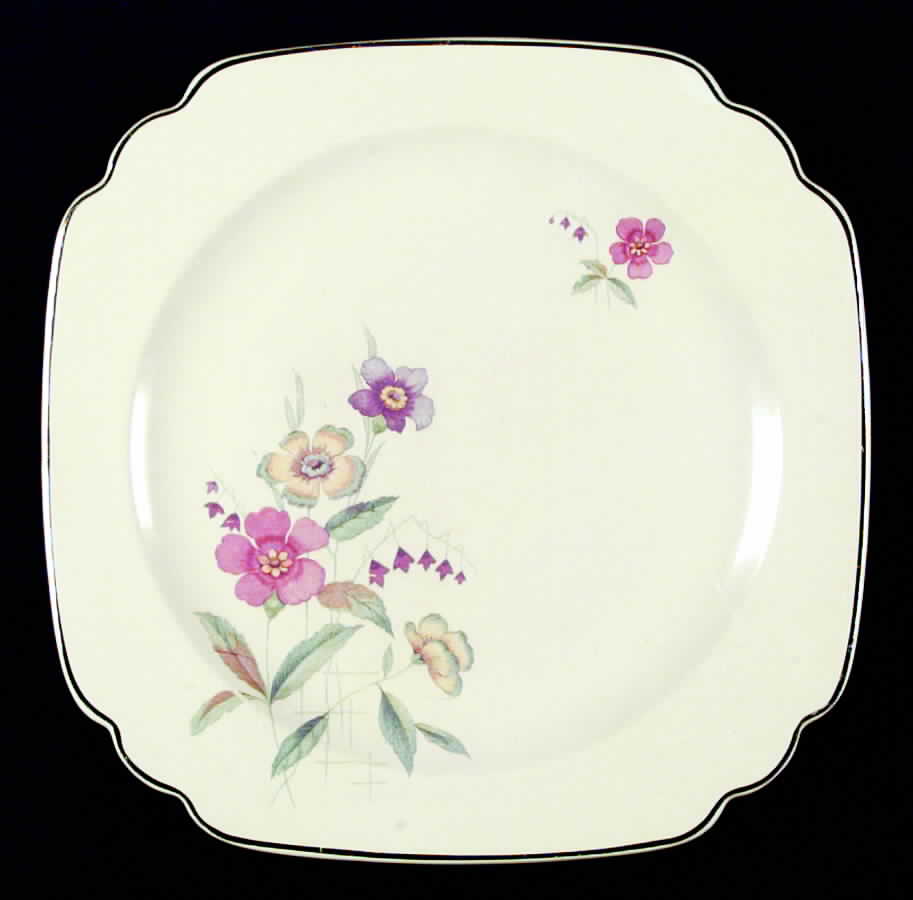 C2 Dinner Plate by Homer Laughlin -1