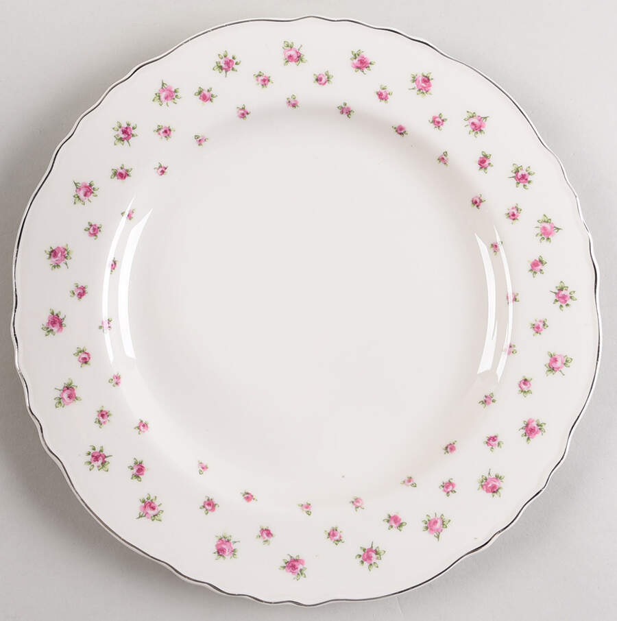 H1705 Dinner Plate by Haviland-1