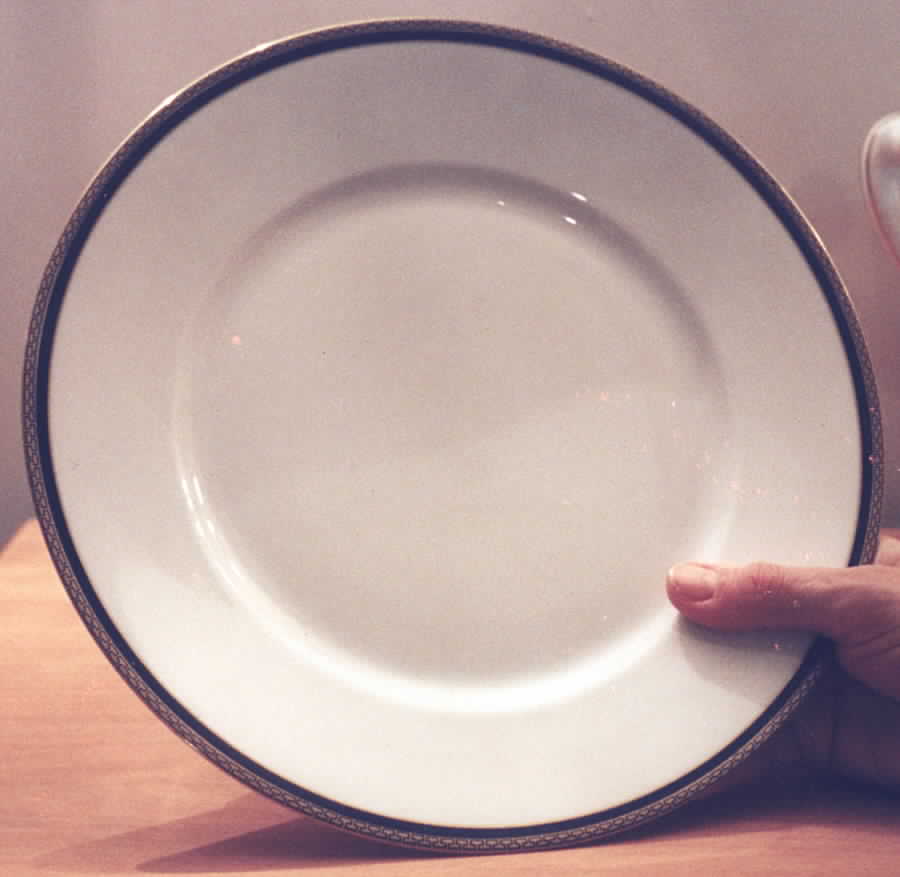1496 Dinner Plate by Hutschenreuther-1