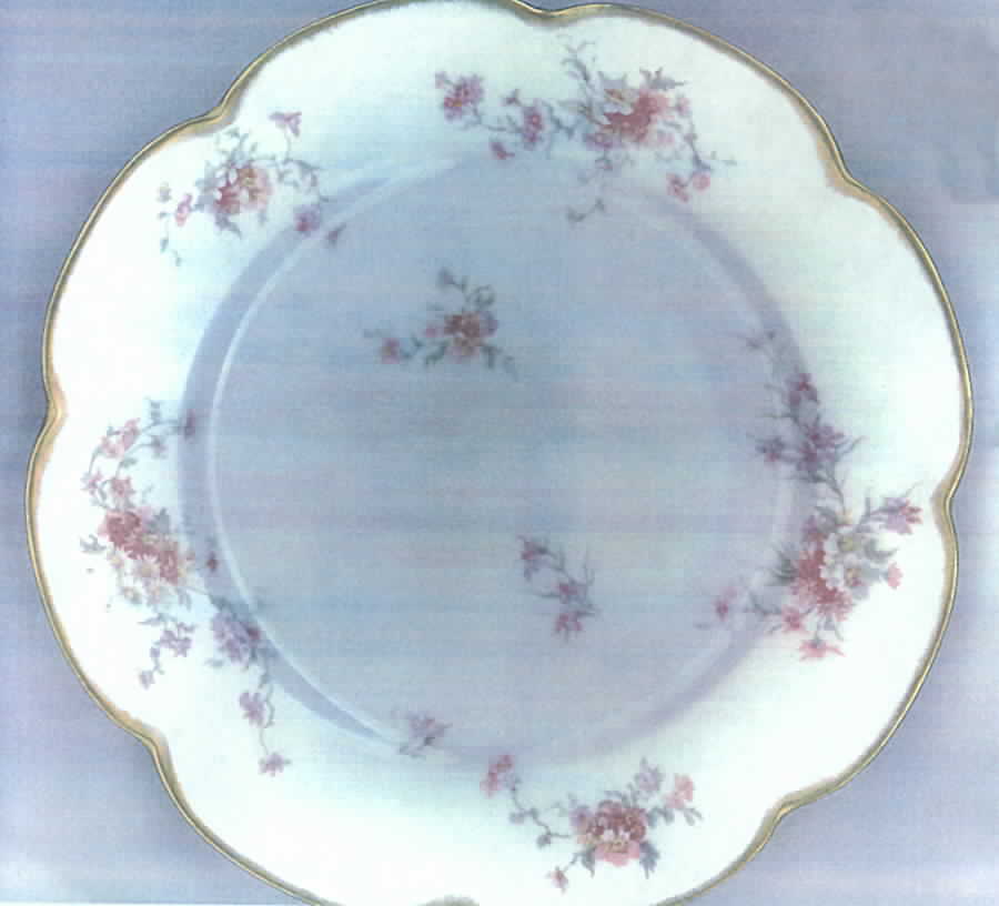 H1711 Dinner Plate by Haviland-1