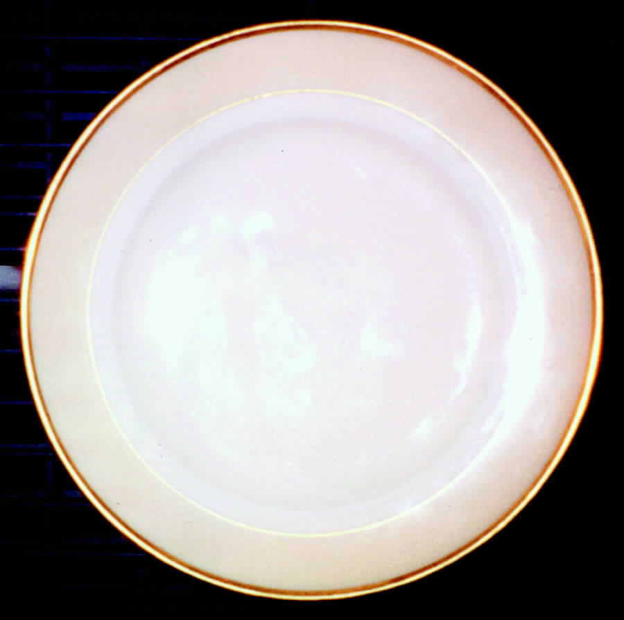 The Braemar Bread & Butter Plate by Hutschenreuther-1