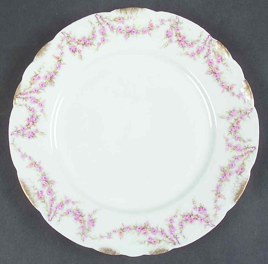 Schleiger 145-2 Dinner Plate by Haviland-1