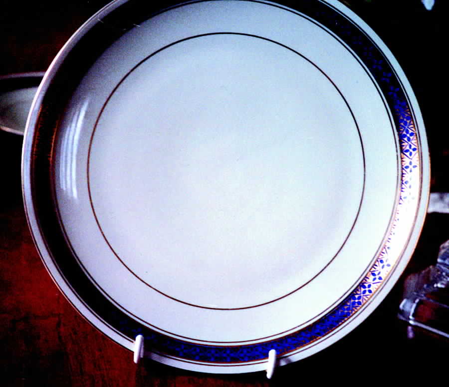 HUT1007 Dinner Plate by Hutschenreuther-1