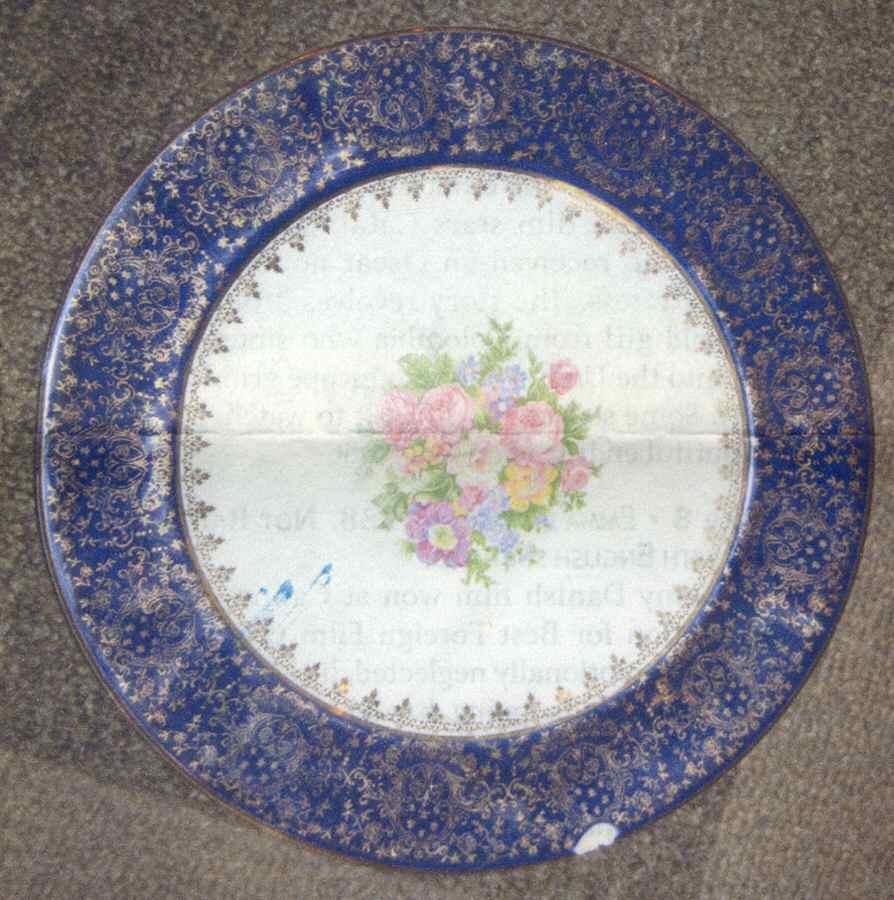 SP23 Dinner Plate by Homer Laughlin -1