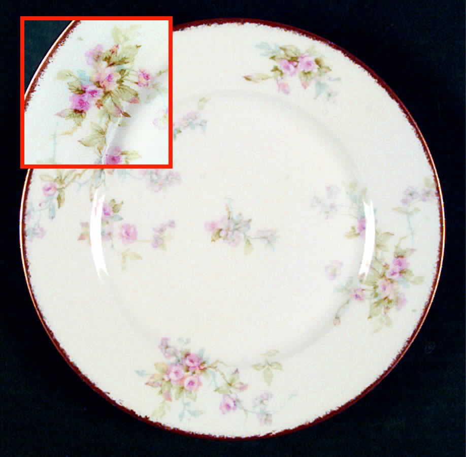 Schleiger 310-3 Salad Plate by Haviland-1