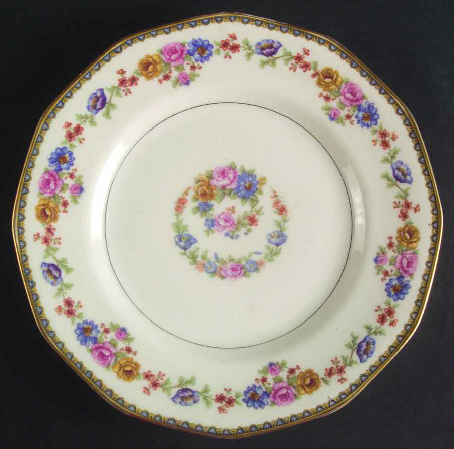 H1725 Dinner Plate by Haviland-1