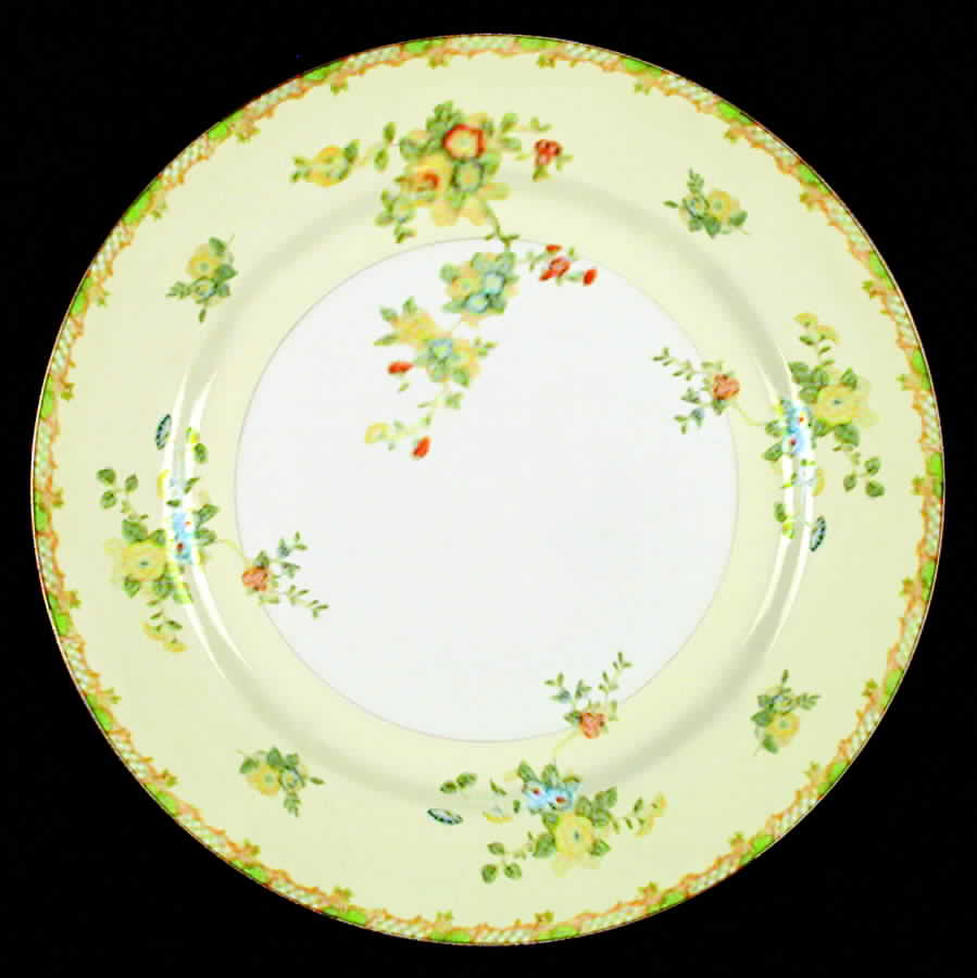 HIR37 Dinner Plate by Hira China-1