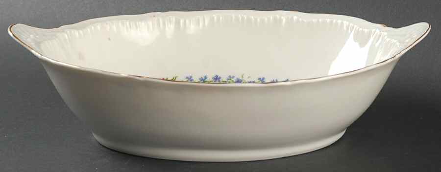 Nancy 10" Oval Vegetable Bowl by Haviland-1