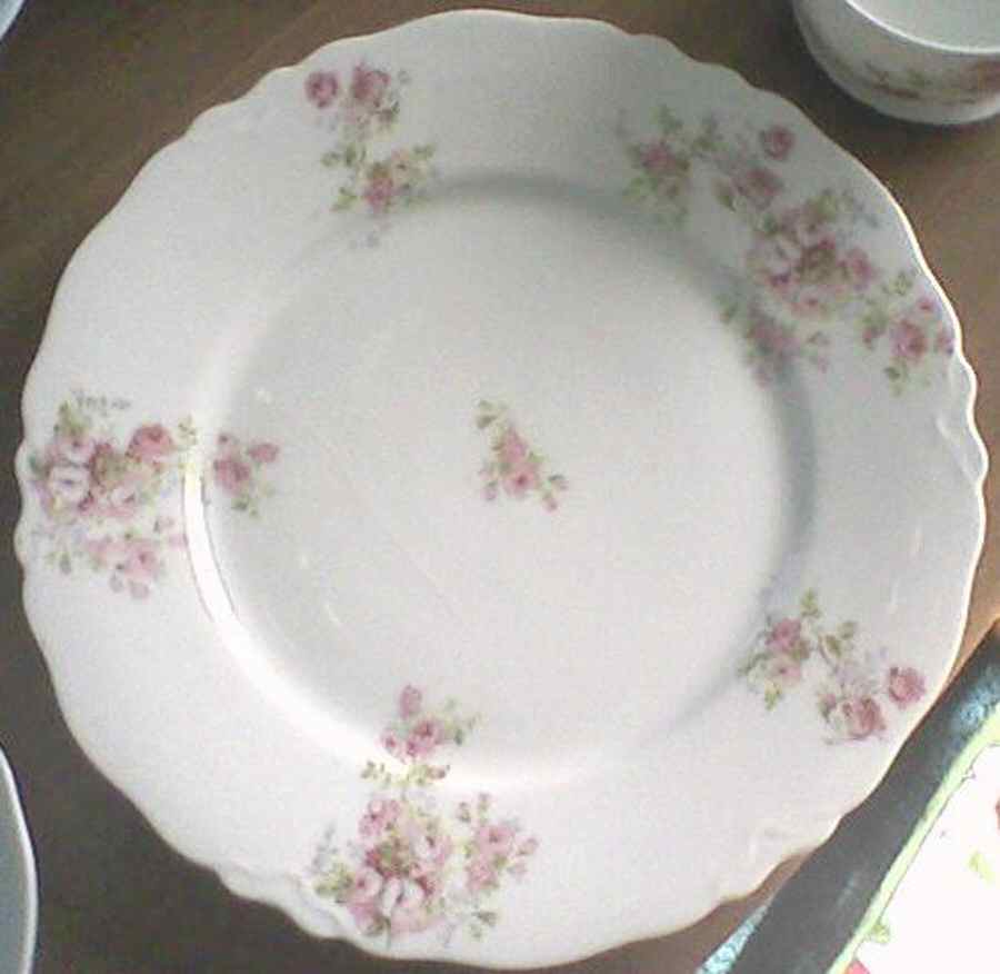 HC717 Dinner Plate by Heinrich - H&C-1