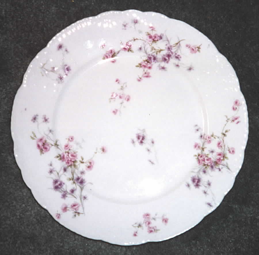 Schleiger 309-2 Dinner Plate by Haviland-1