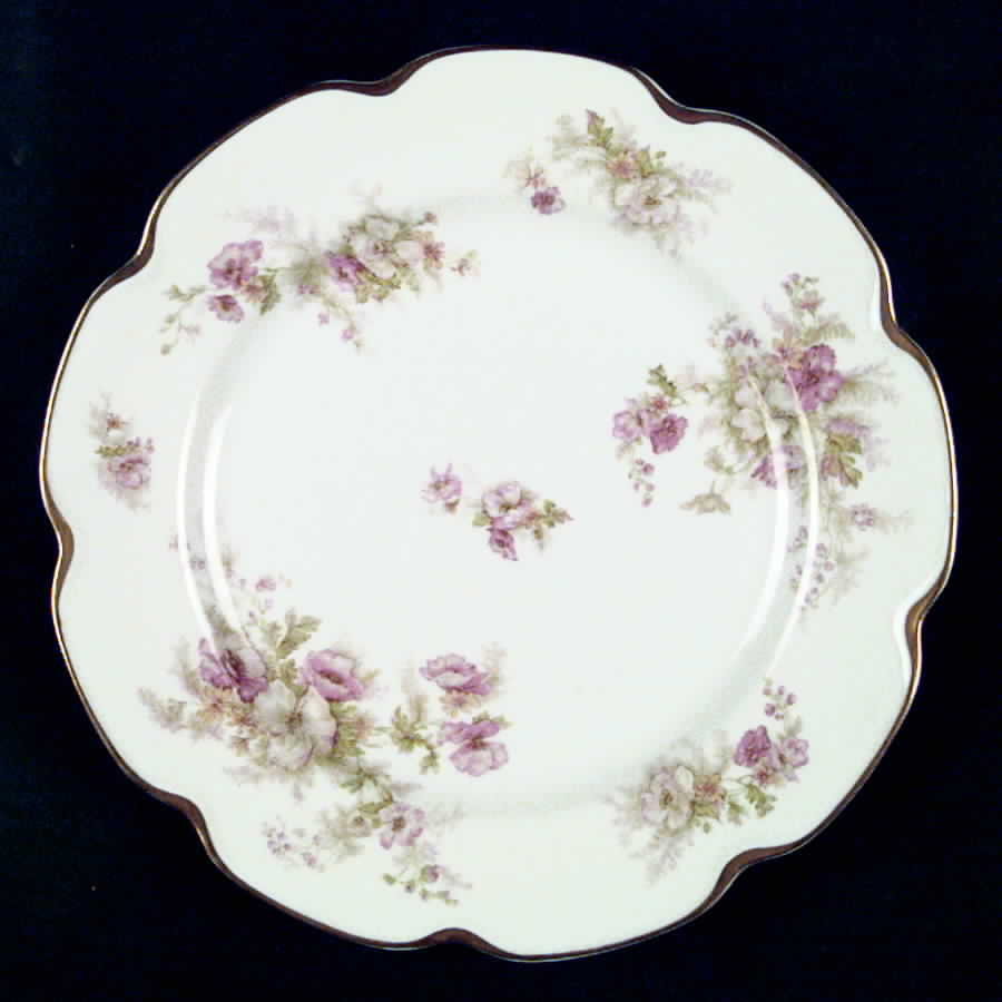 H1756 Dinner Plate by Haviland-1