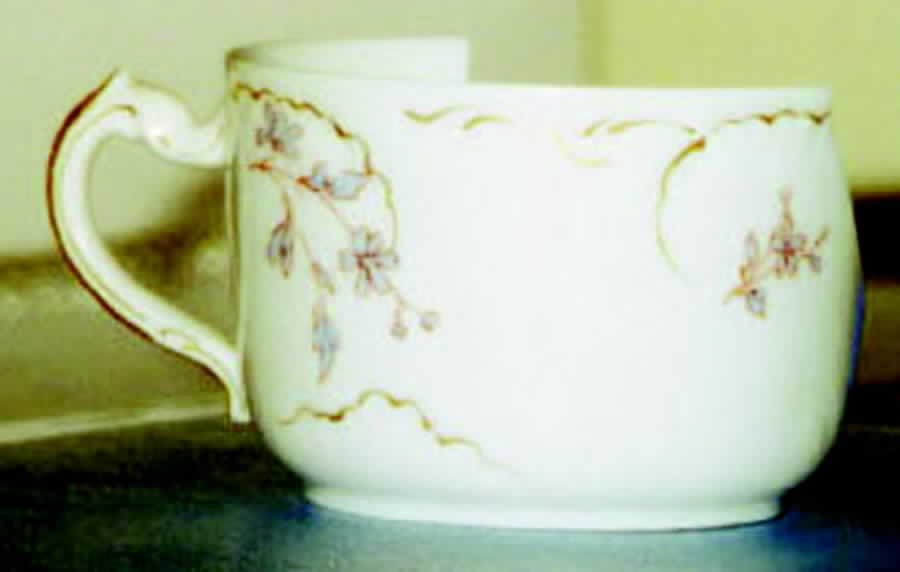 Schleiger 1156-2 Flat Cup by Haviland-1