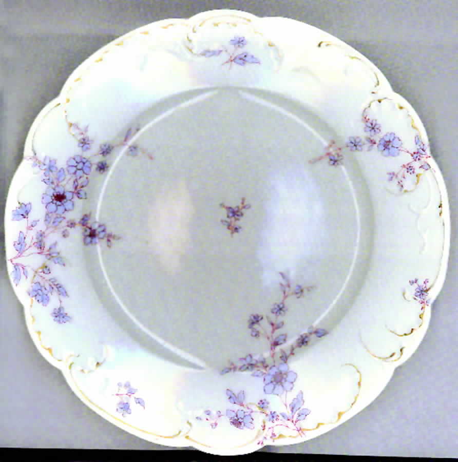 Schleiger 1156-2 Dinner Plate by Haviland-1