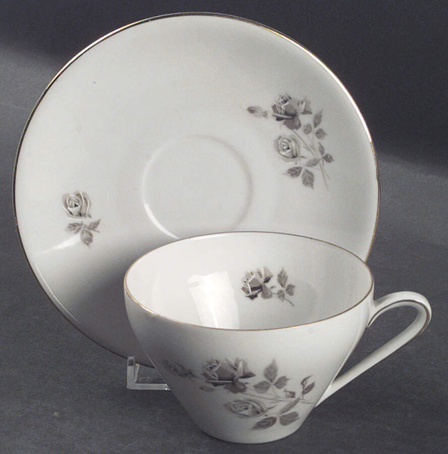HUT1113 Flat Cup & Saucer Set by Hutschenreuther-1