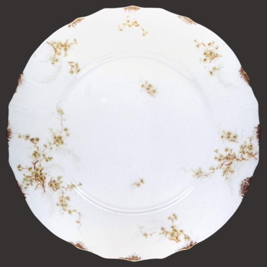 H4688 Dinner Plate by Haviland-1