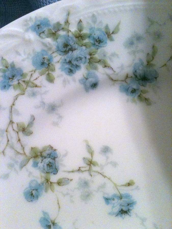Schleiger 150-7 Salad Plate by Haviland-1