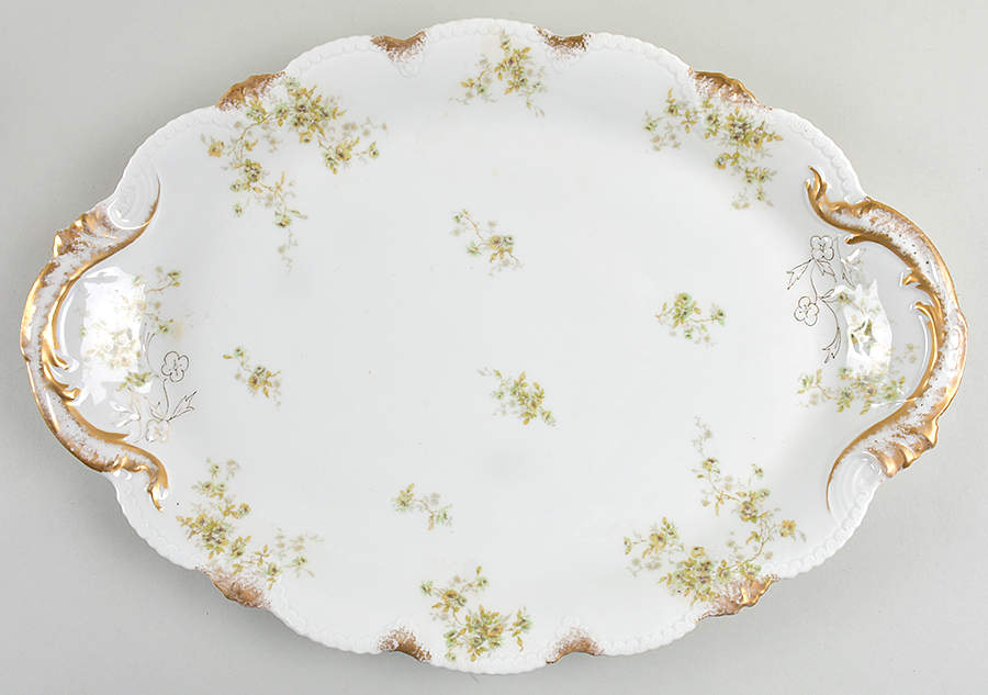 Schleiger 150-8 19" Oval Serving Platter by Haviland-1