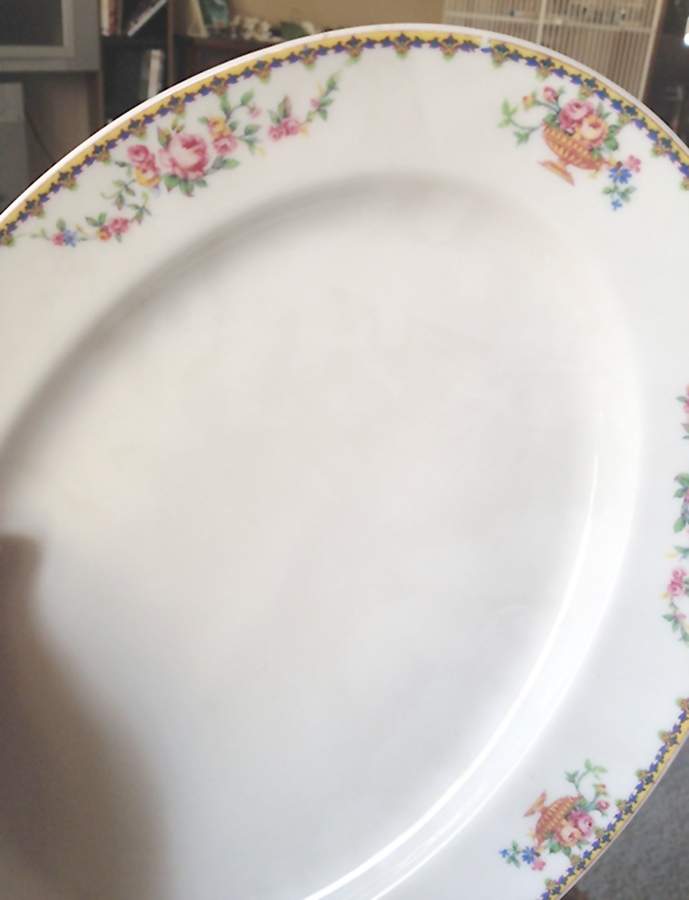 H1774 12" Oval Serving Platter by Haviland-1