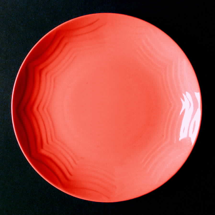 Modern Farmer Red Dinner Plate by Homer Laughlin -1