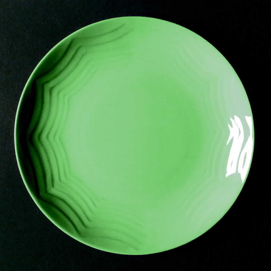 Modern Farmer Light Green Dinner Plate by Homer Laughlin -1