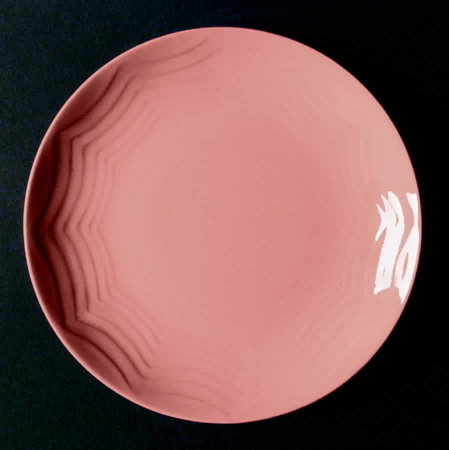 Modern Farmer Rose Dinner Plate by Homer Laughlin -1