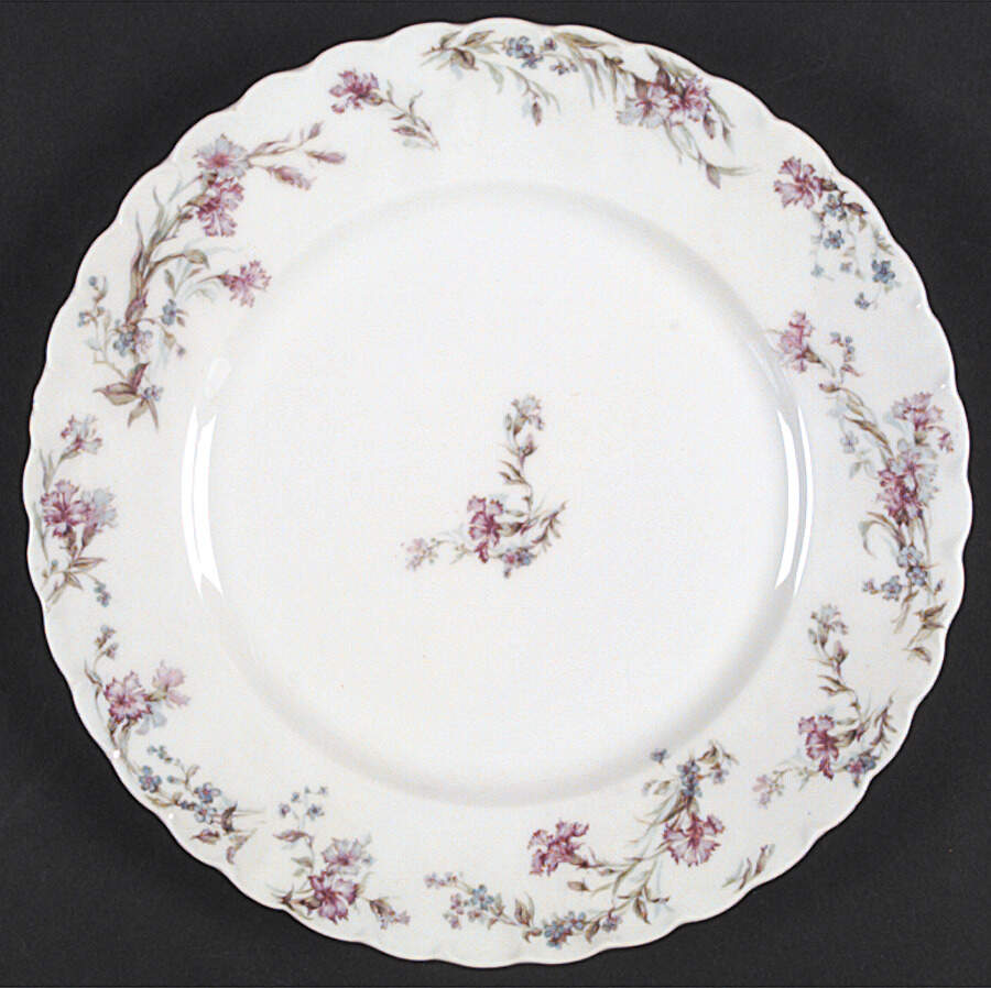 Schleiger 240-2 Dinner Plate by Haviland-1