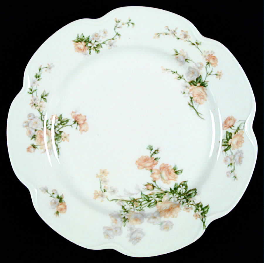 Schleiger 261-4 Salad Plate by Haviland-1
