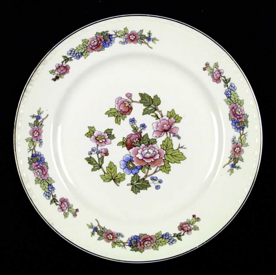 Bristol Dinner Plate by Homer Laughlin -1