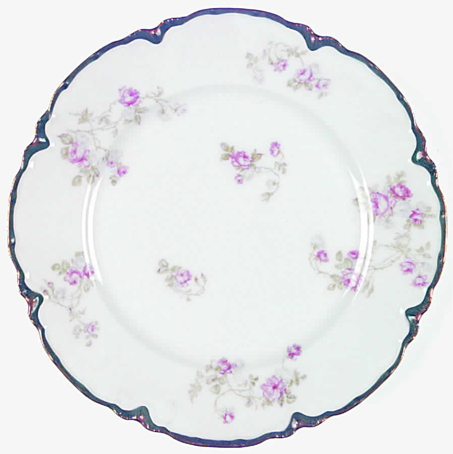 H1803 Dinner Plate by Haviland-1