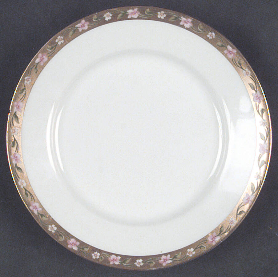 HUT1022 Bread & Butter Plate by Hutschenreuther-1