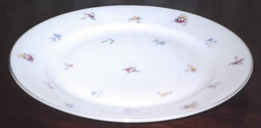 HWC17 Dinner Plate by HW (Germany, Czech)-1