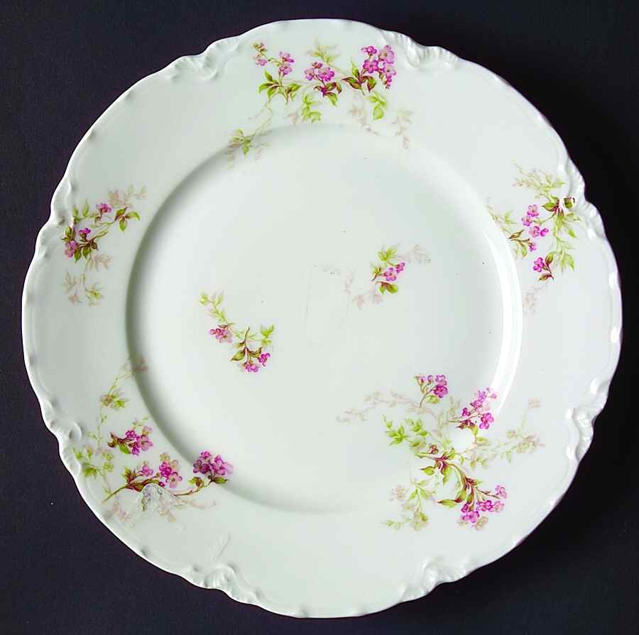 H1854 Salad Plate by Haviland-1
