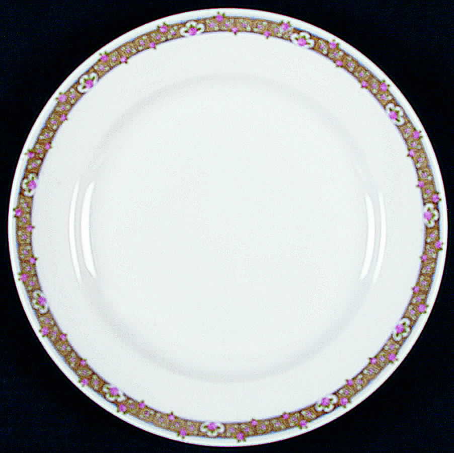 H1855 Dinner Plate by Haviland-1