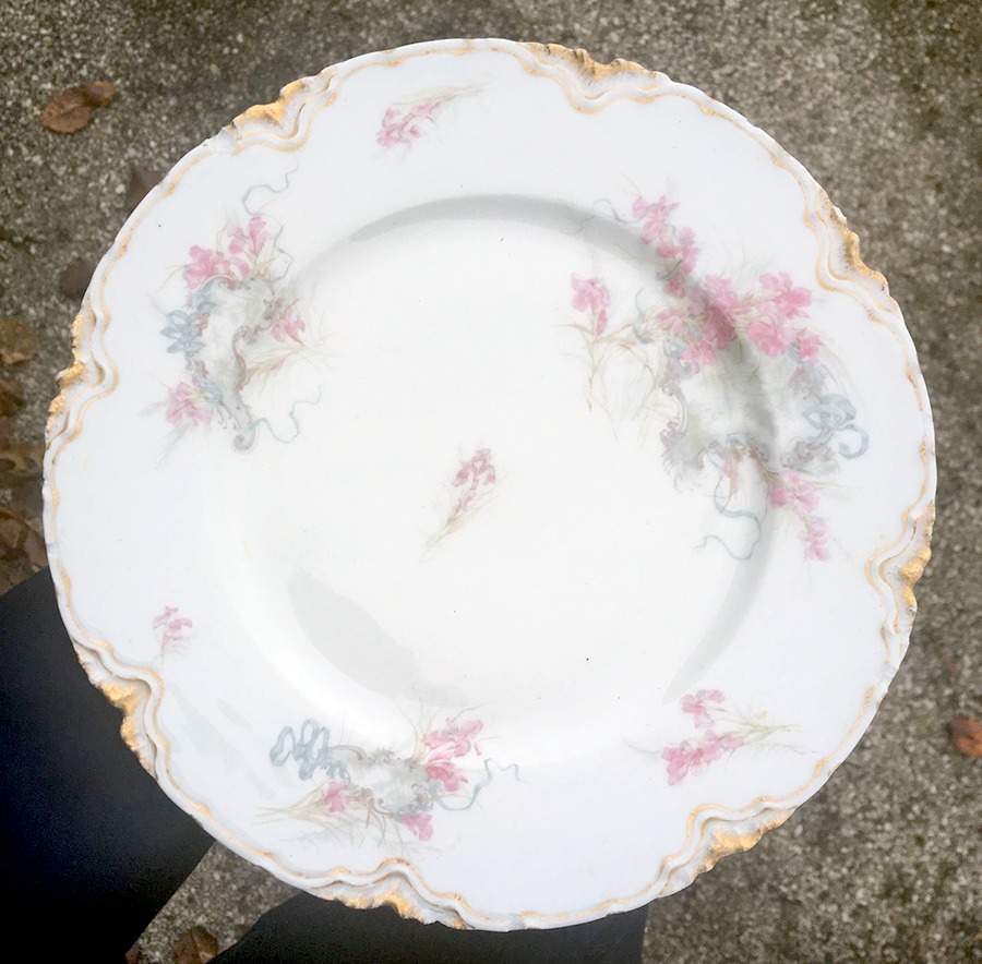 Schleiger 482-1 Dinner Plate by Haviland-1