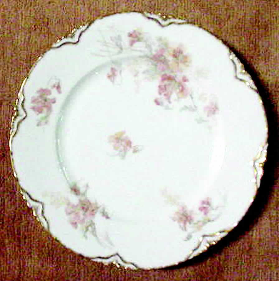Schleiger 54-4 Dinner Plate by Haviland-1