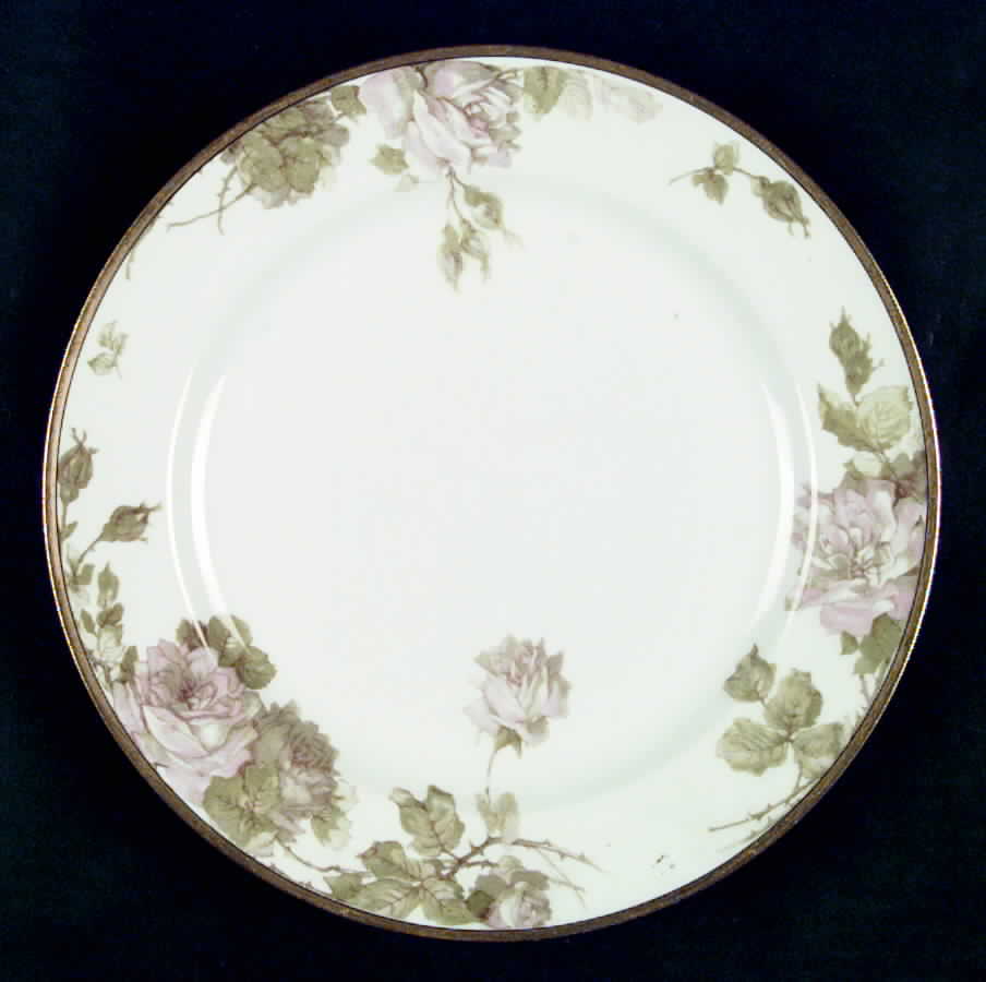 Schleiger 65-1 Dinner Plate by Haviland-1