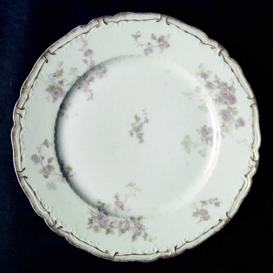 Schleiger 42-3 Dinner Plate by Haviland-1