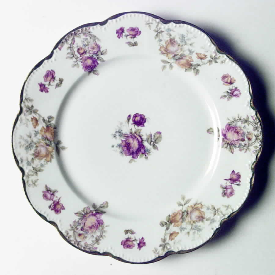 H1886 Dinner Plate by Haviland-1