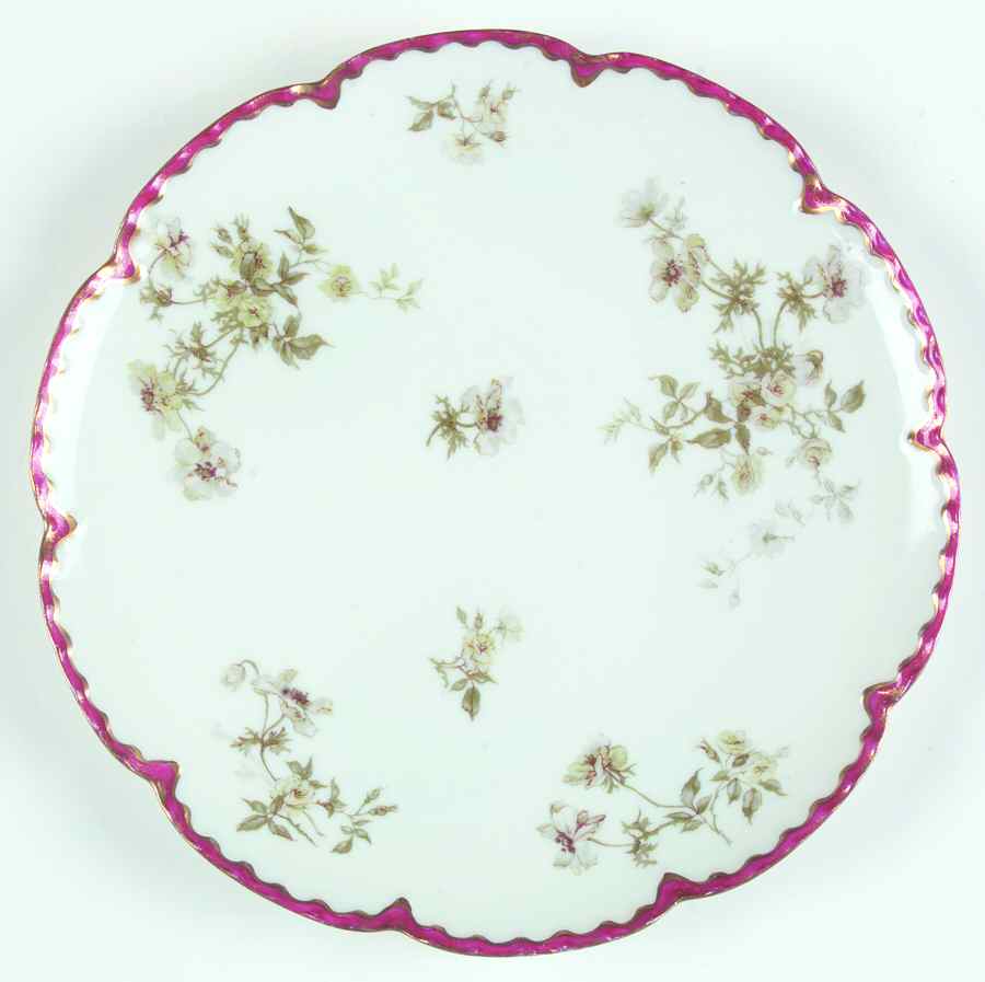 Schleiger 660-1 Coupe Luncheon Plate by Haviland-1
