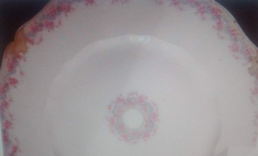 Schleiger 843-2 Dinner Plate by Haviland-1