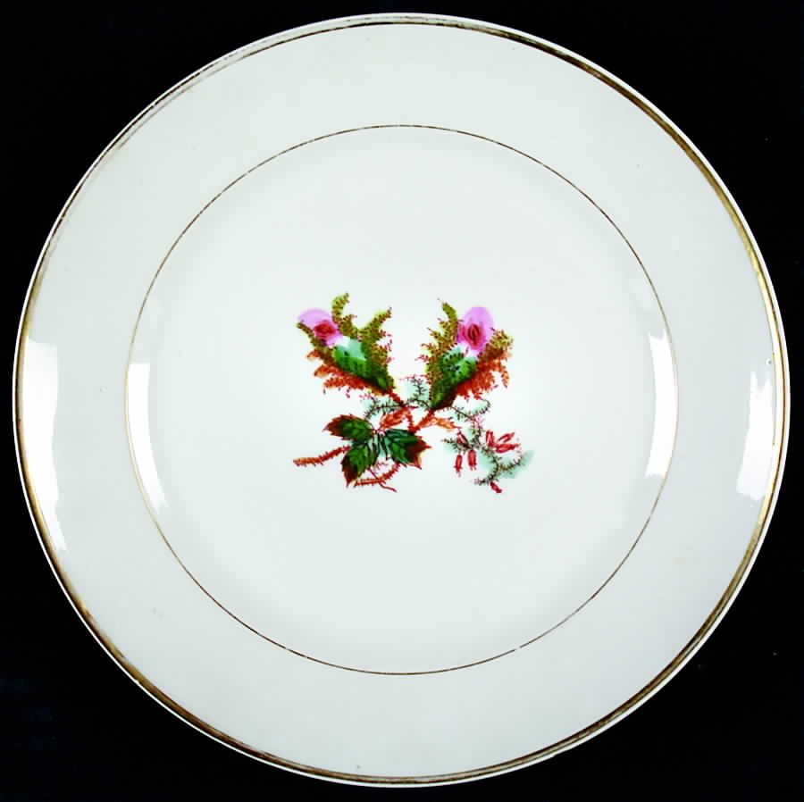 Moss Rose (Thin Gold Trim) Salad Plate by Haviland-1