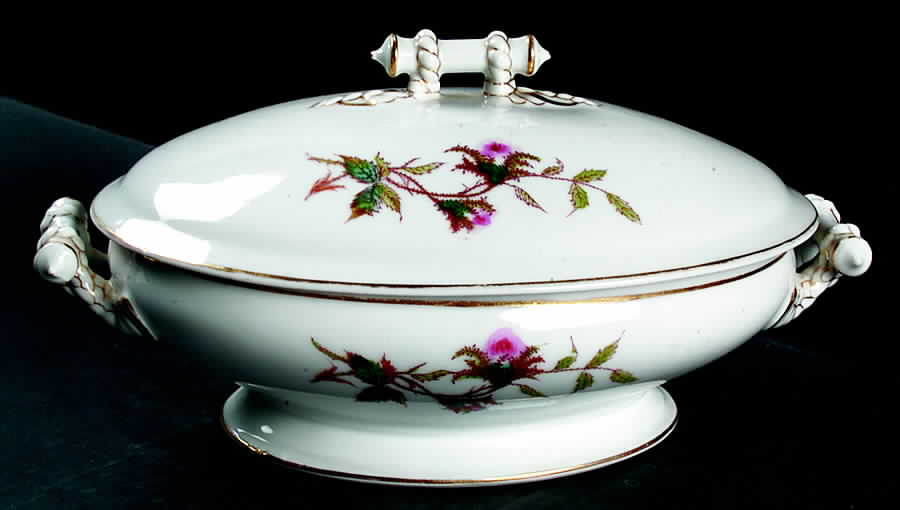 Moss Rose (Thin Gold Trim) Oval Covered Vegetable by Haviland-1