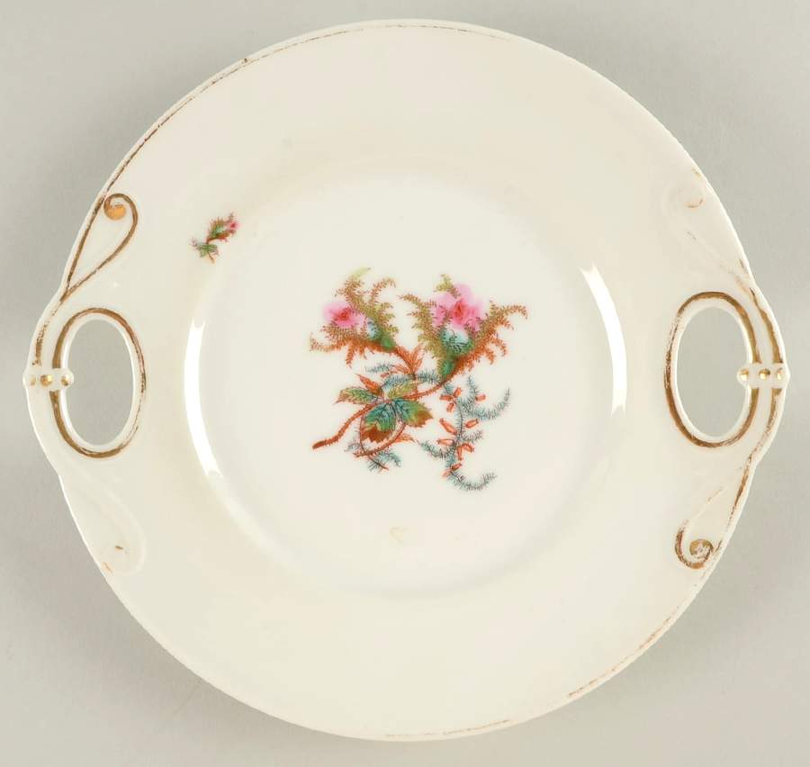 Moss Rose (Thin Gold Trim) Handled Cake Plate by Haviland-1
