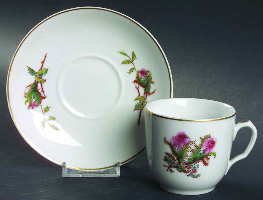 Moss Rose (Thin Gold Trim) Flat Cup & Saucer Set by Haviland-1