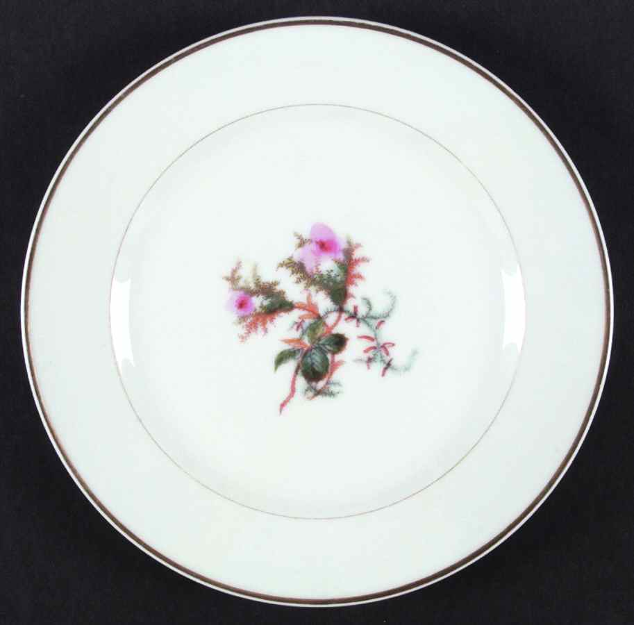 Moss Rose (Thin Gold Trim) Dinner Plate by Haviland-1