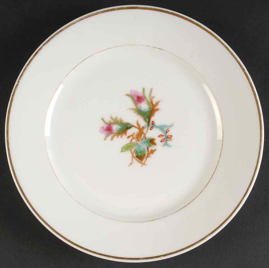 Moss Rose (Thin Gold Trim) Luncheon Plate by Haviland-1