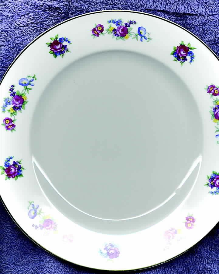 HC727 Dinner Plate by Heinrich - H&C-1